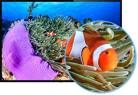 directv 4k hd